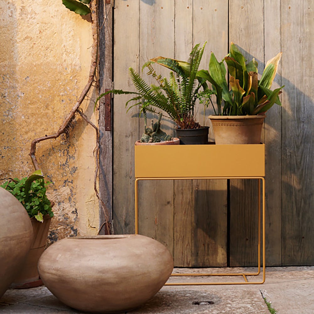 Blumenkasten - Senfgelb