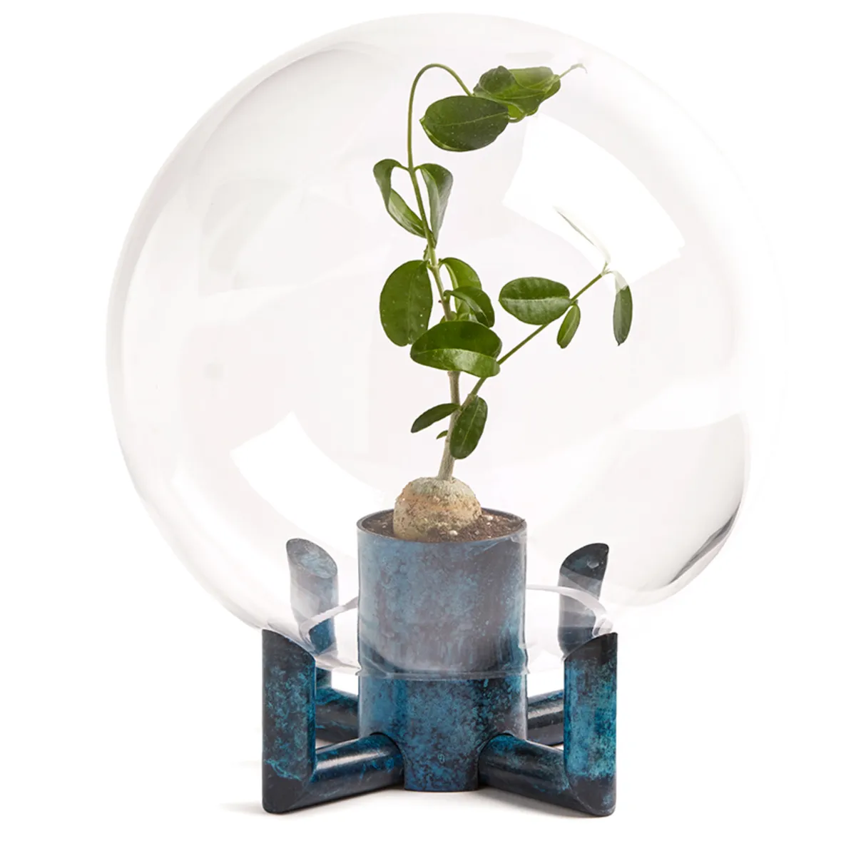 Orb