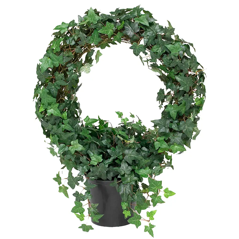 Mauerblümchen 85 cm grün