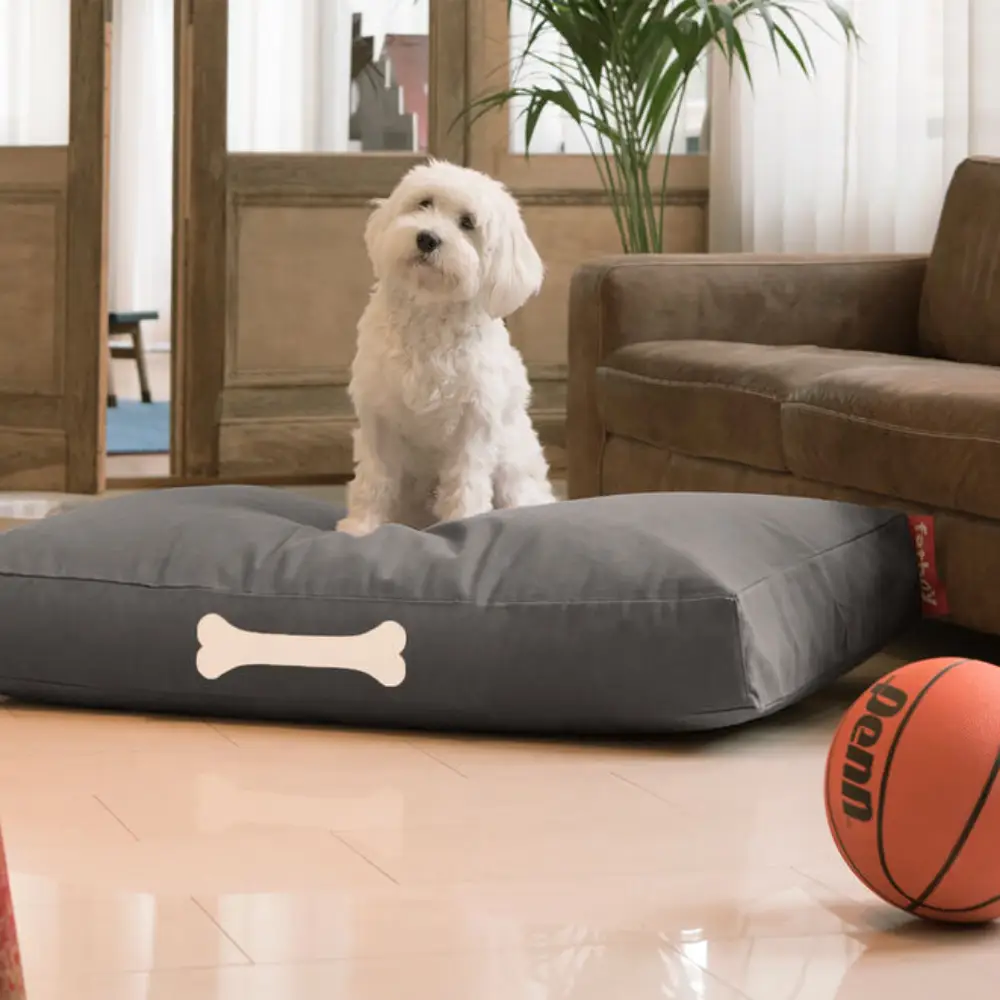 doggielounge L canvas Hundebett recycled charcoal grey