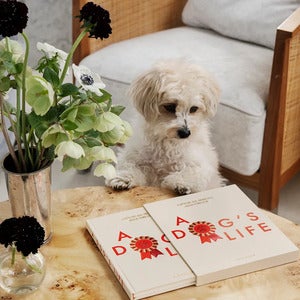 Hundetagebuch A Dog's Life