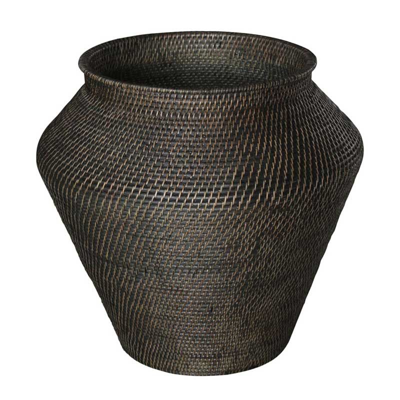 Amazonas Schlange Korg L Braun