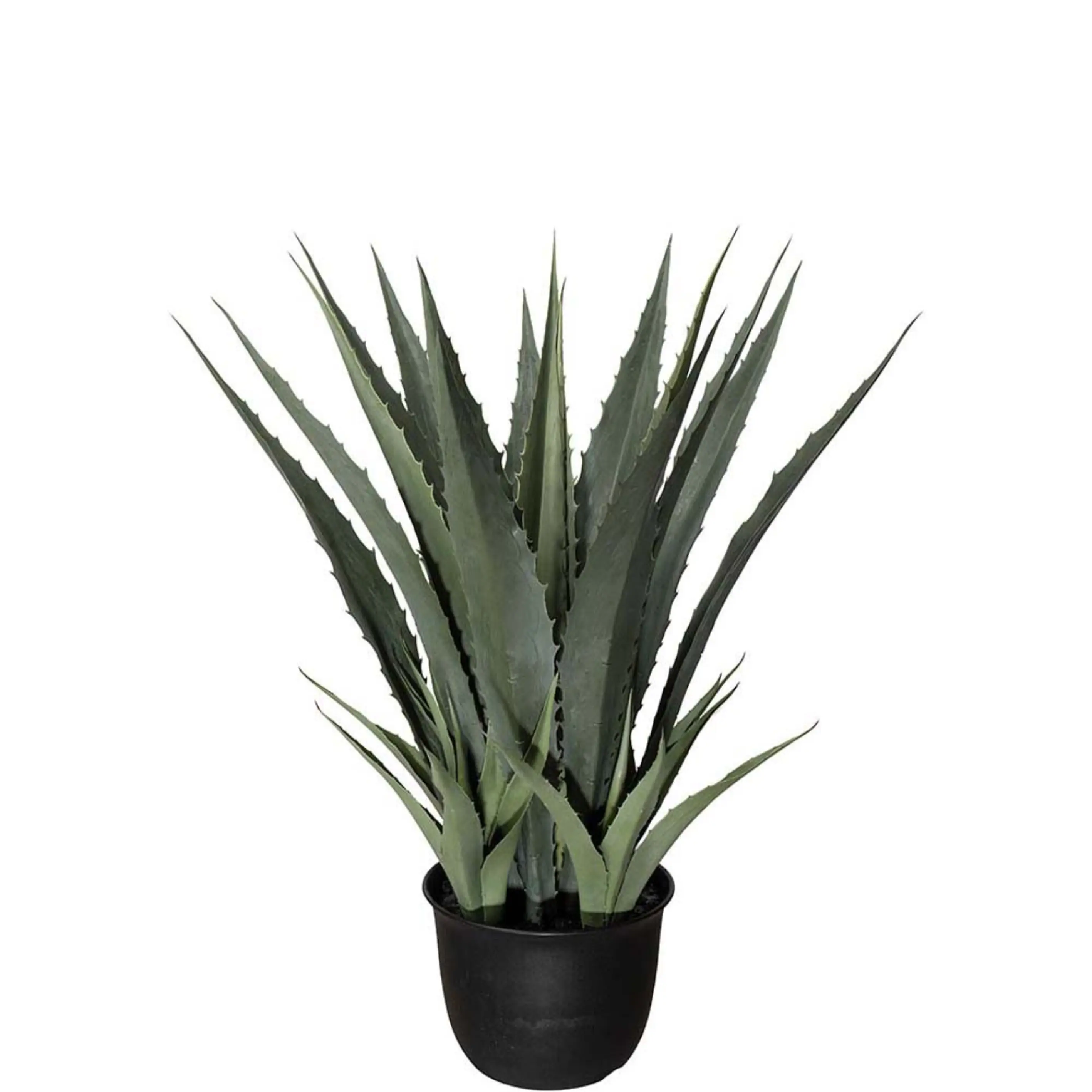 Agave grün 100 cm