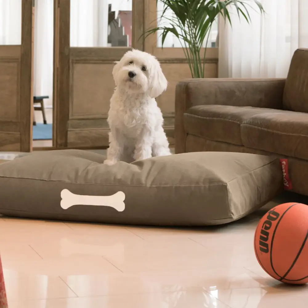 doggielounge L canvas Hundebett recycled taupe grey