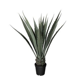 Agave Grün 120 cm