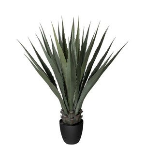Agave Grün 100 cm