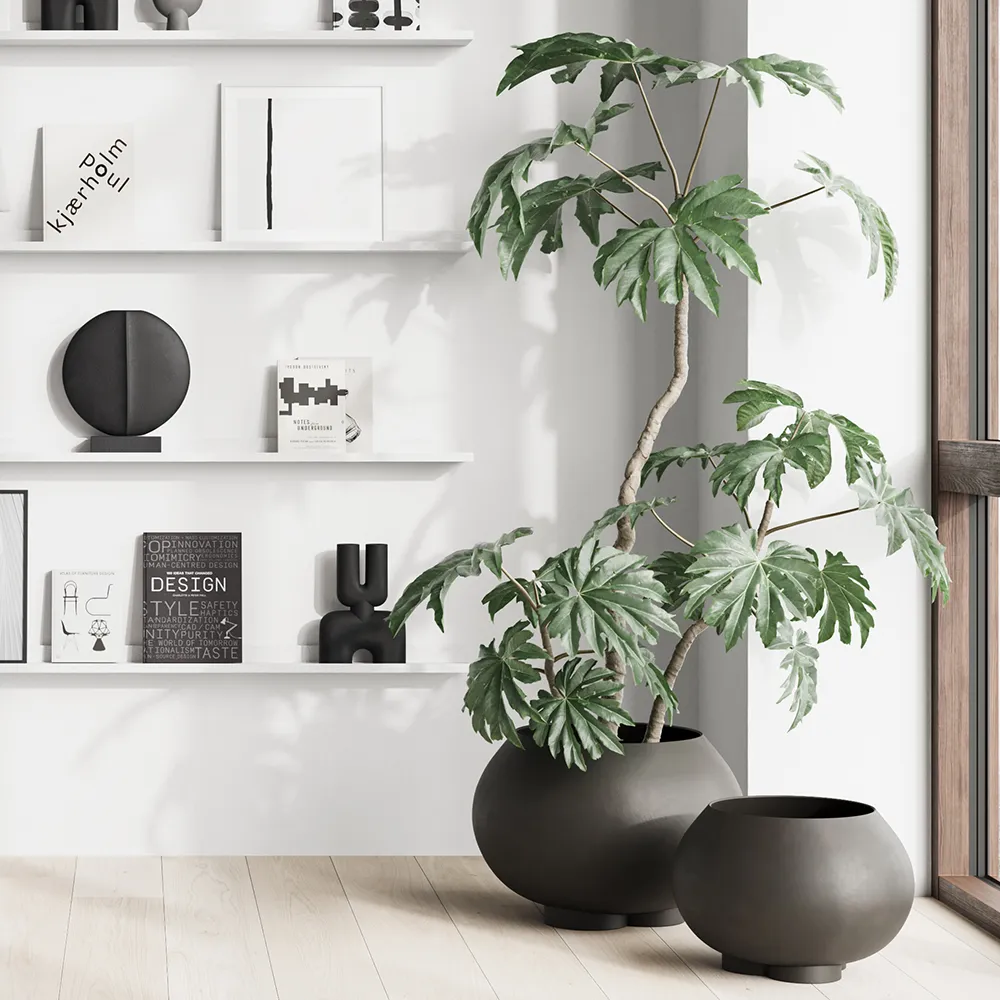 Urchin Topf Medio - Coffee