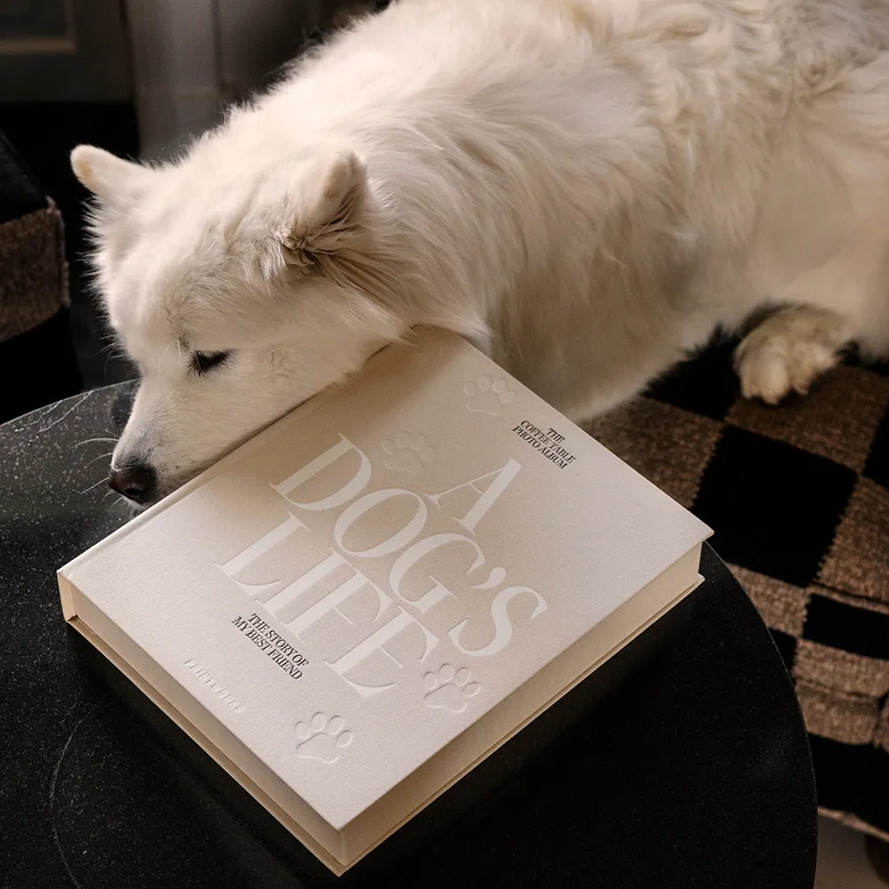  Hunde-Fotoalbum - A Dog's Life