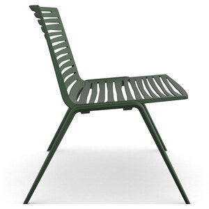 Zebra Sessel Dunkelgrün