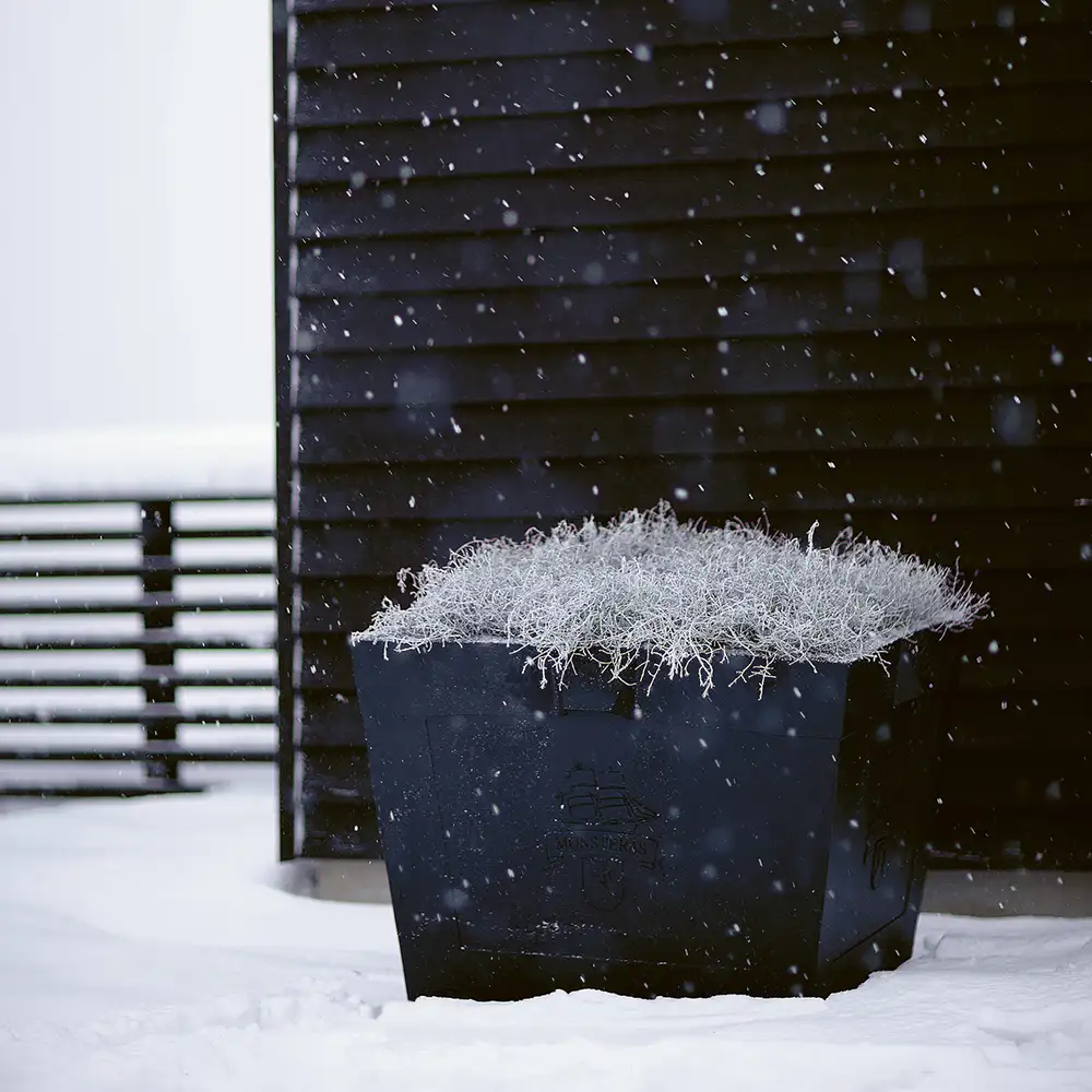 Blumentopf Karl XL schwarz