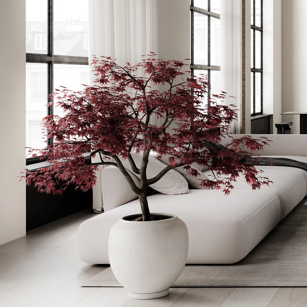 Sunao Topf Hexa - Birch