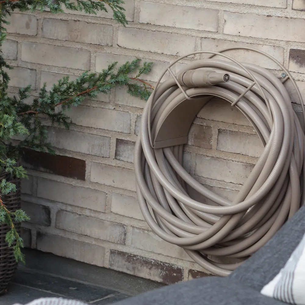 Schlauchhalter Sahara Desert 