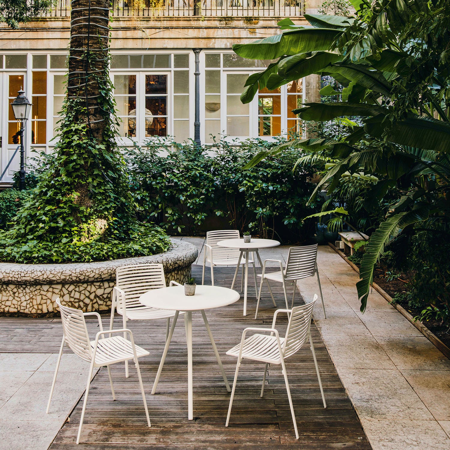 Zebra Armlehnstuhl Hellblau