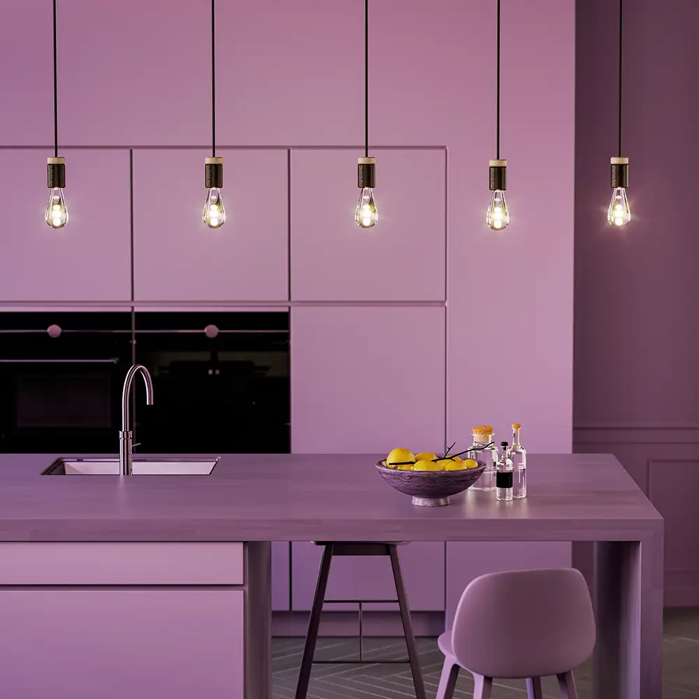 Holder pendel E27 Schwarz 