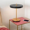 Asteria table Tischleuchte Ø31 cm Anthrachite Grey