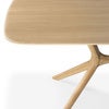 X Esstisch Eiche 250x100x76 cm