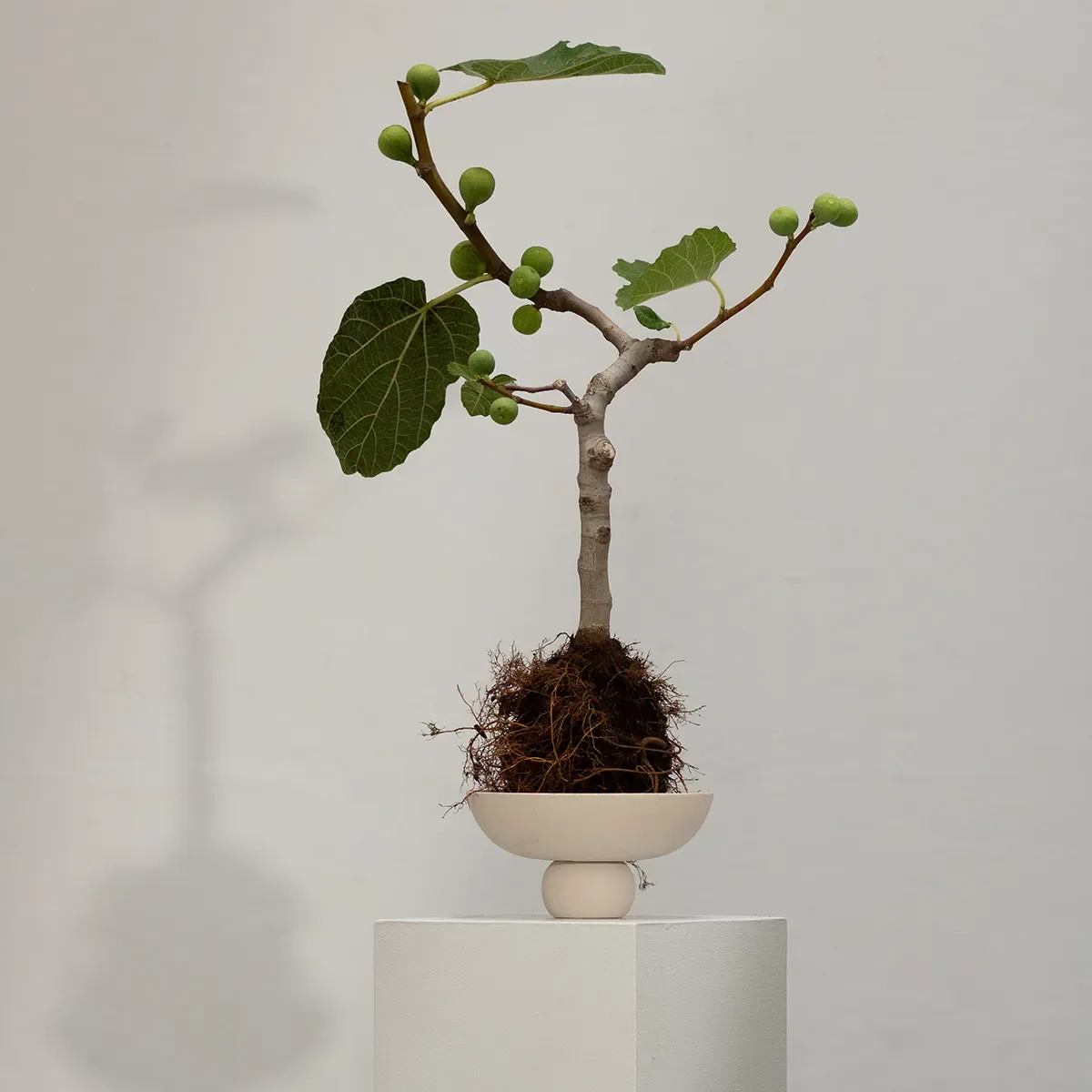Handbemalte Dekoschale Baburu Mini Birch Ø 20 cm