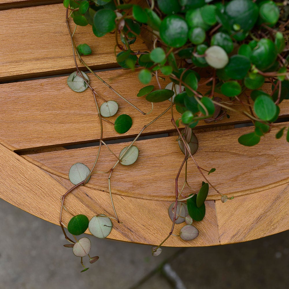 Lounge Couchtisch 80 cm Teak 