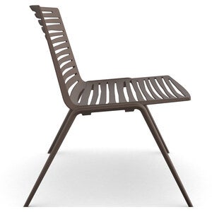 Zebra Sessel Maracuja