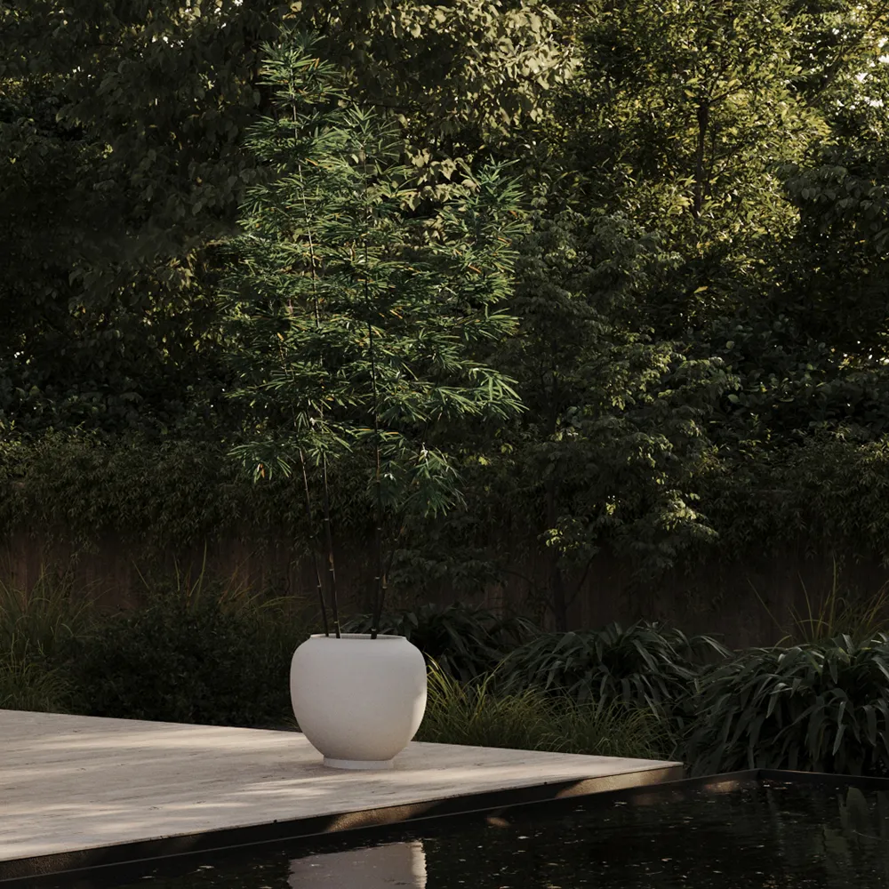 Sunao Topf Hexa - Birch