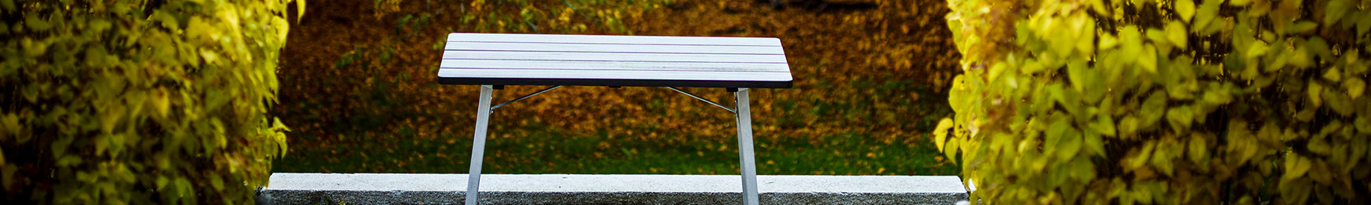 Tisch