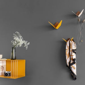 Butterflies Haken M Saffron Yellow