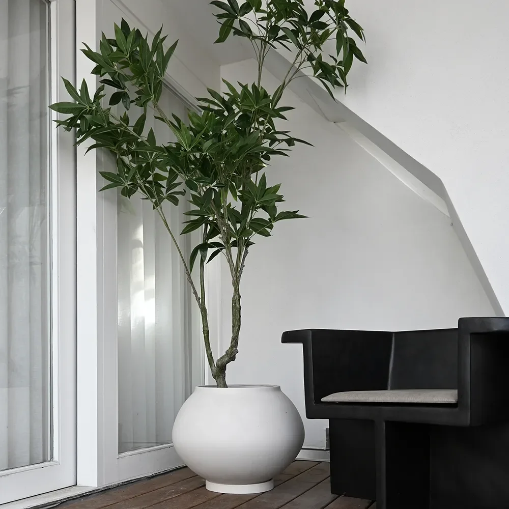 Sunao Topf Fat Hexa - Birch