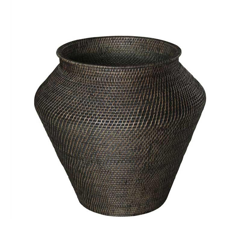 Amazonas Schlange Korg S Braun