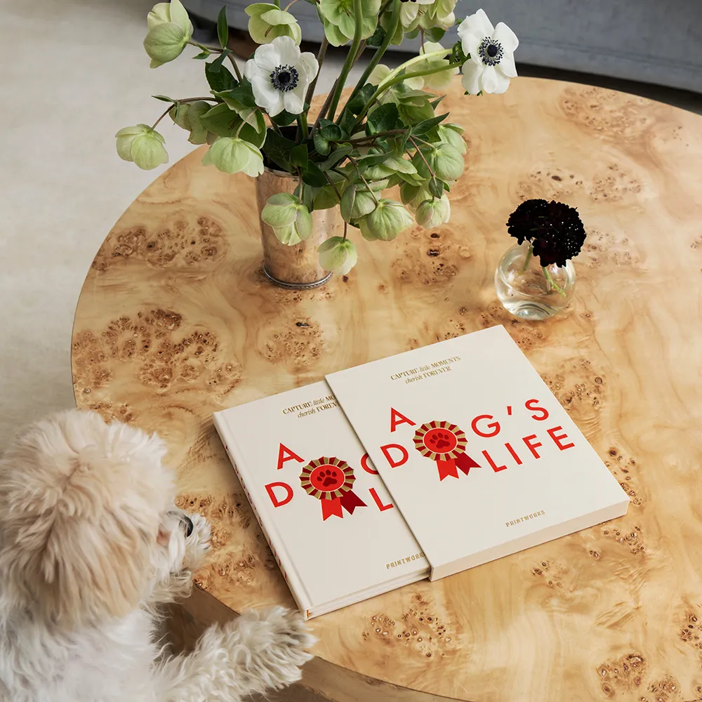 Hundetagebuch A Dog's Life