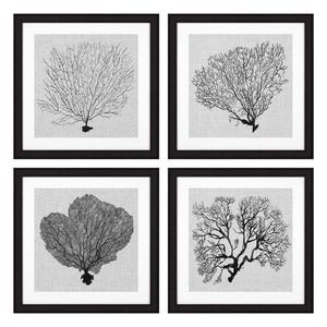 Bilder Shadow Sea Fans 4er-Set