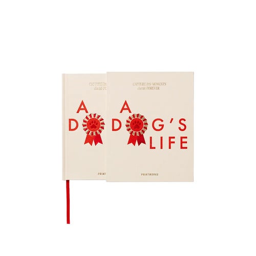 Hundetagebuch A Dog's Life