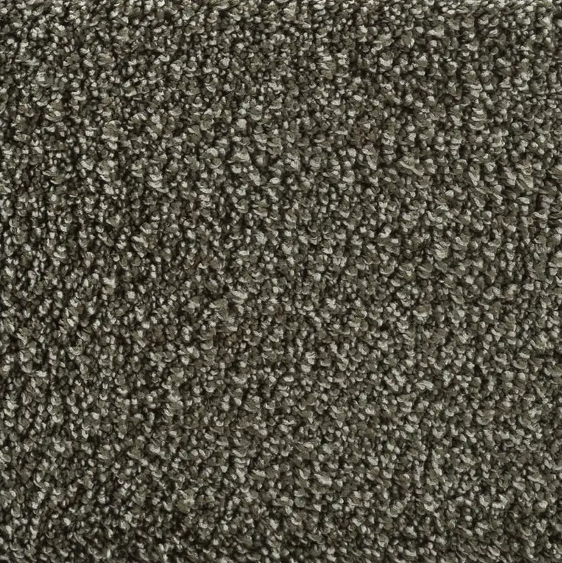 Teppich Cape Wald 2x3 m