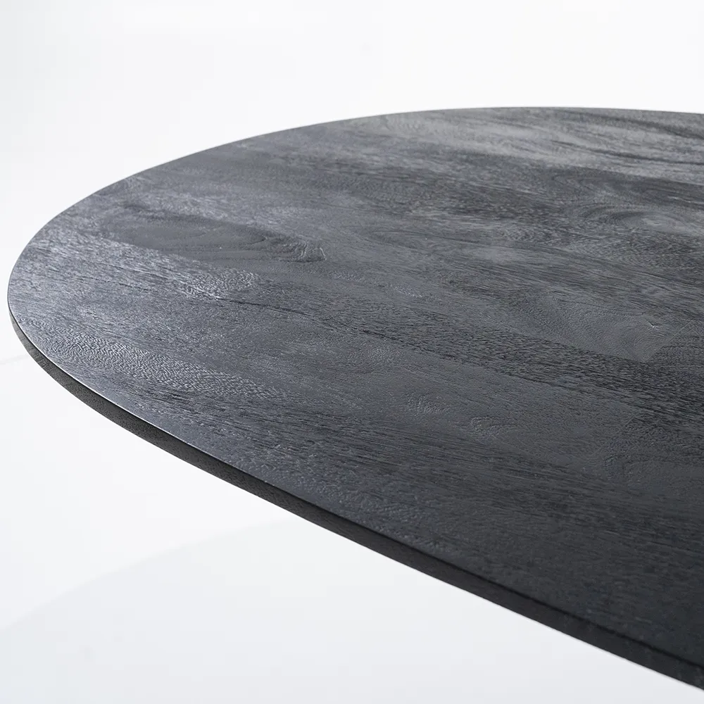 Aron Esstisch 250x110 - schwarz