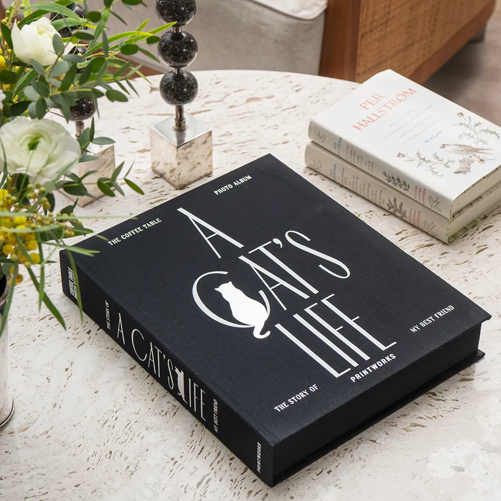  Katzenfotoalbum - A Cat's Life