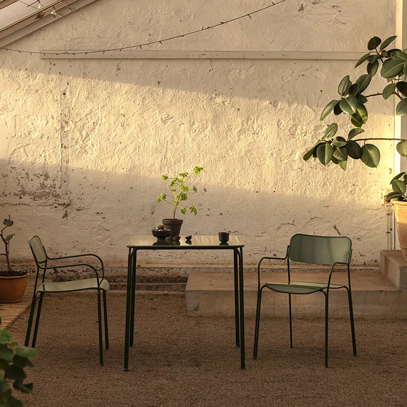 Libelle Esszimmerstuhl Grün