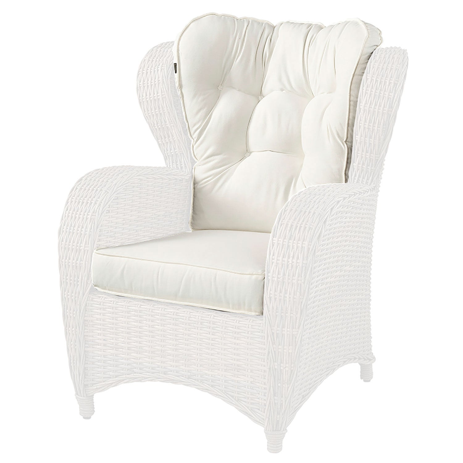 Jacksonville dynset Natur