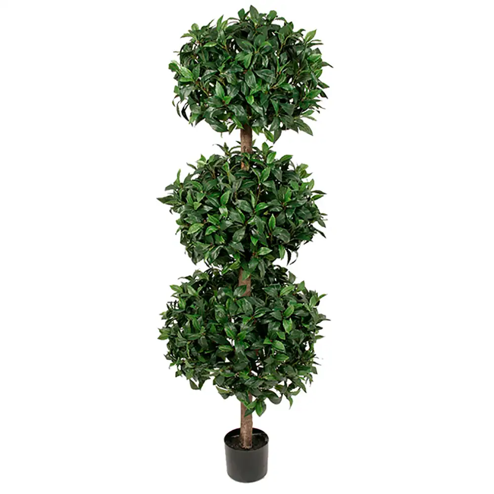 Lagerbaum 150 cm