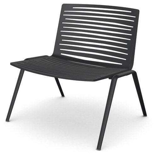 Zebra Sessel Schwarz