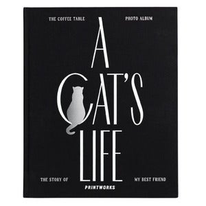  Katzenfotoalbum - A Cat's Life