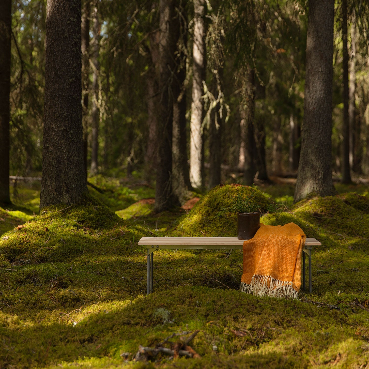 Bank 8 Geölte Kiefer