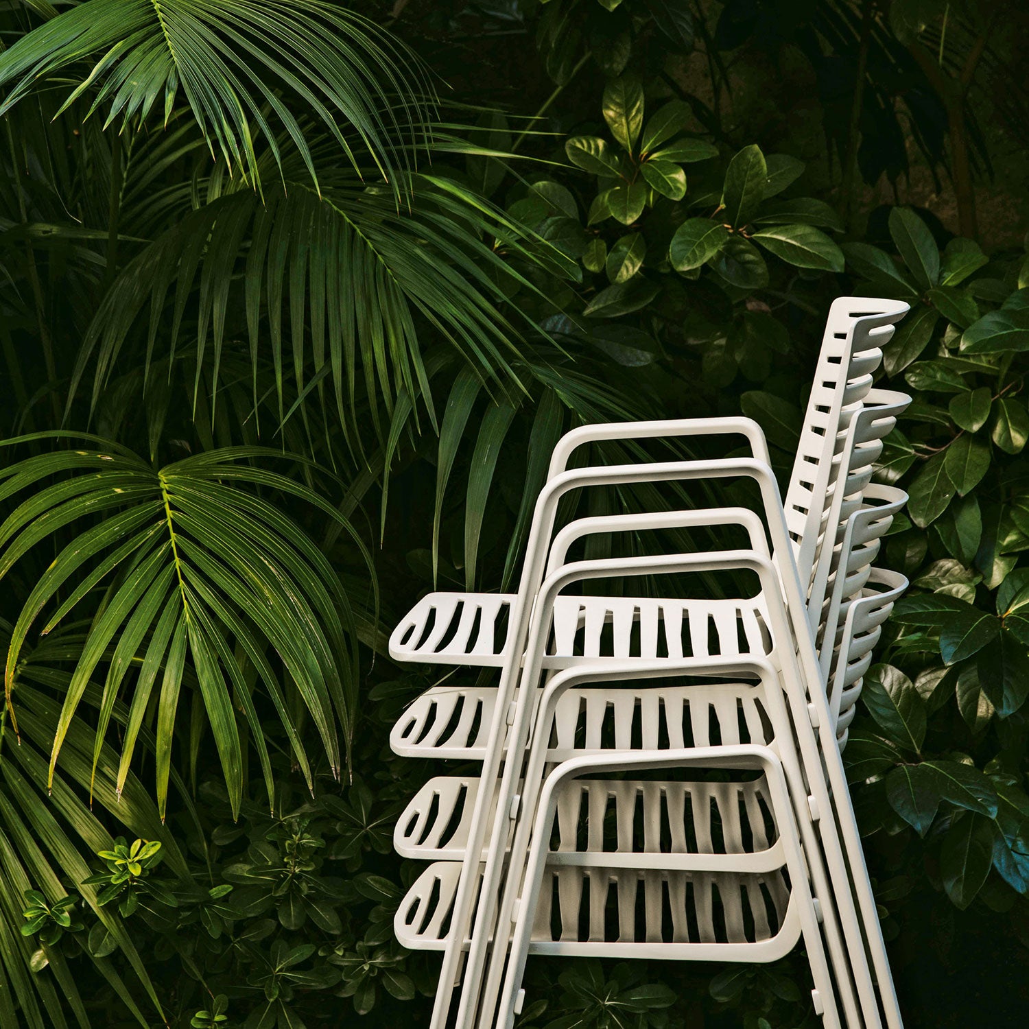 Zebra Armlehnstuhl Hellblau