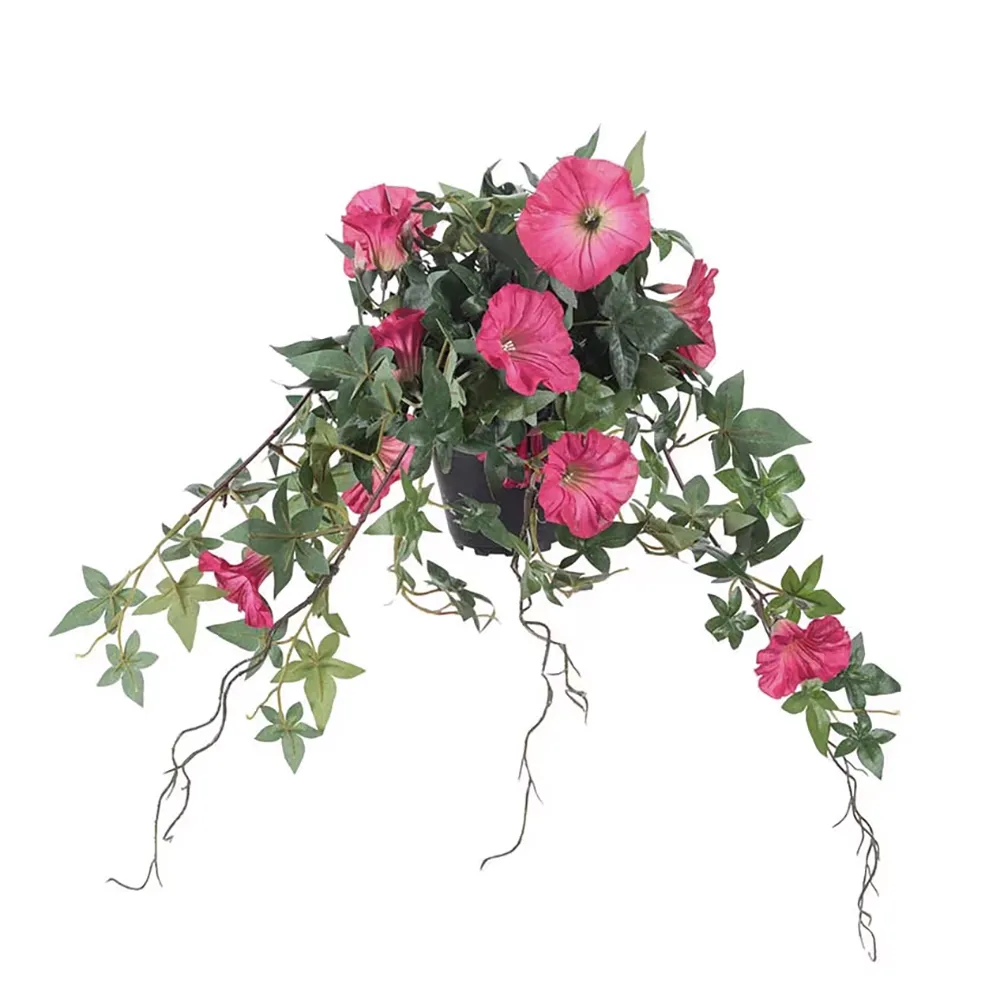 Blume des Tages Rosa