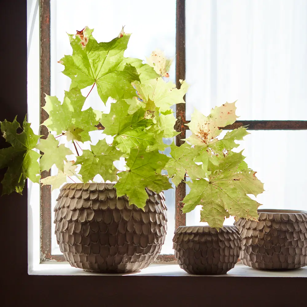 FUDGE Topf XS Nougatbraun