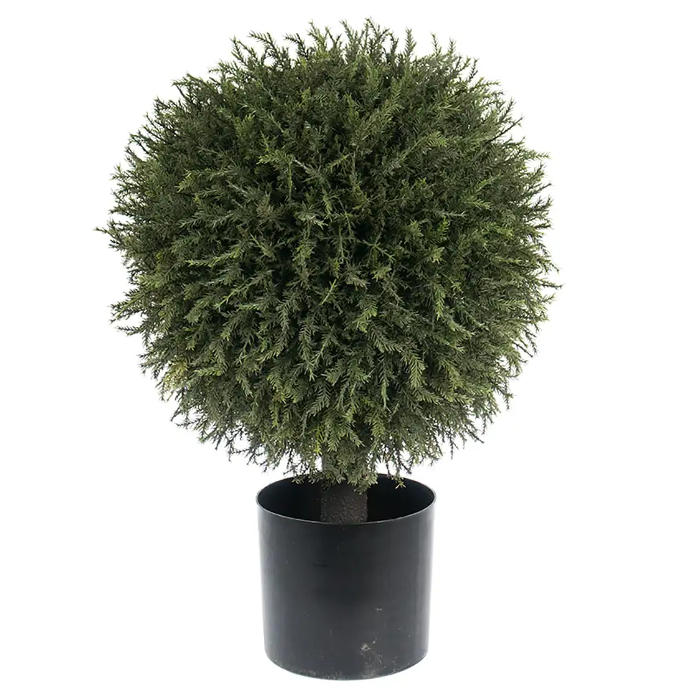 Einzelner Baum 55 cm