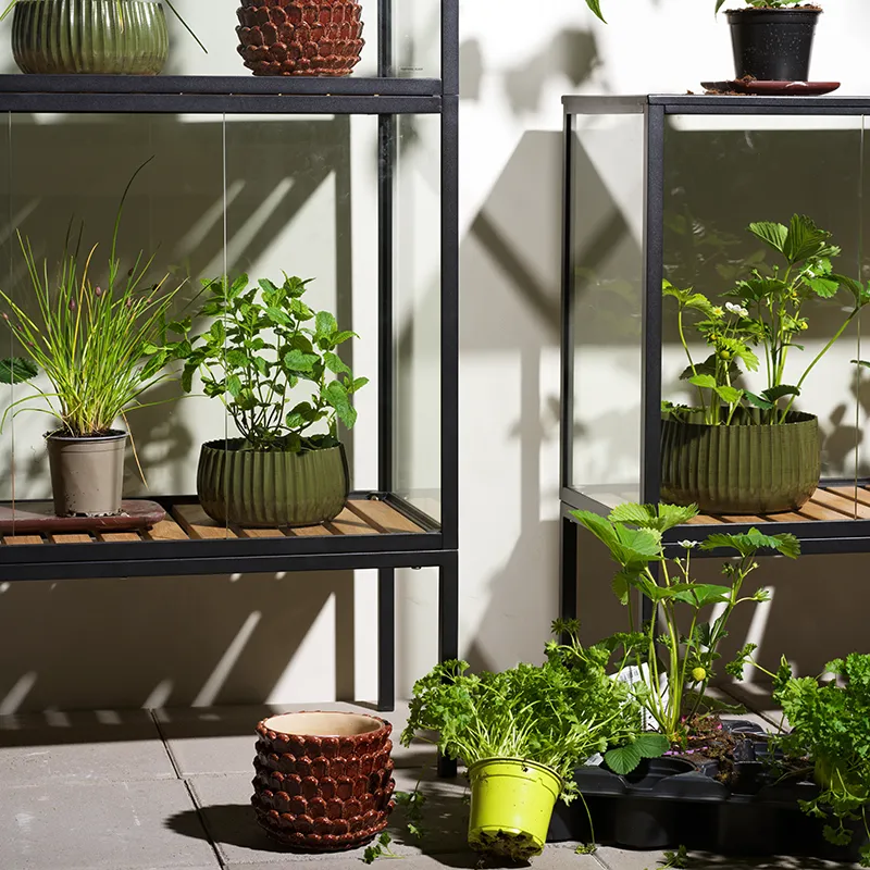 Grower Greens pflanzenschrank   hoch  svart