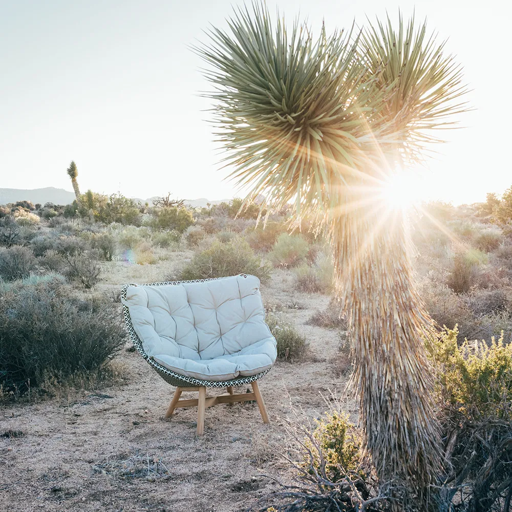 Mbrace Wingchair teak AY5 teak 0205 pepper 0115