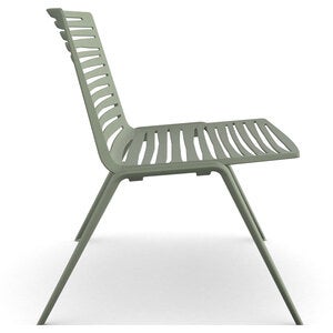 Zebra Sessel Grüner Tee