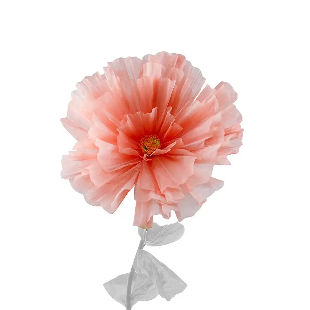  Blumen-Gänseblümchen-Orange