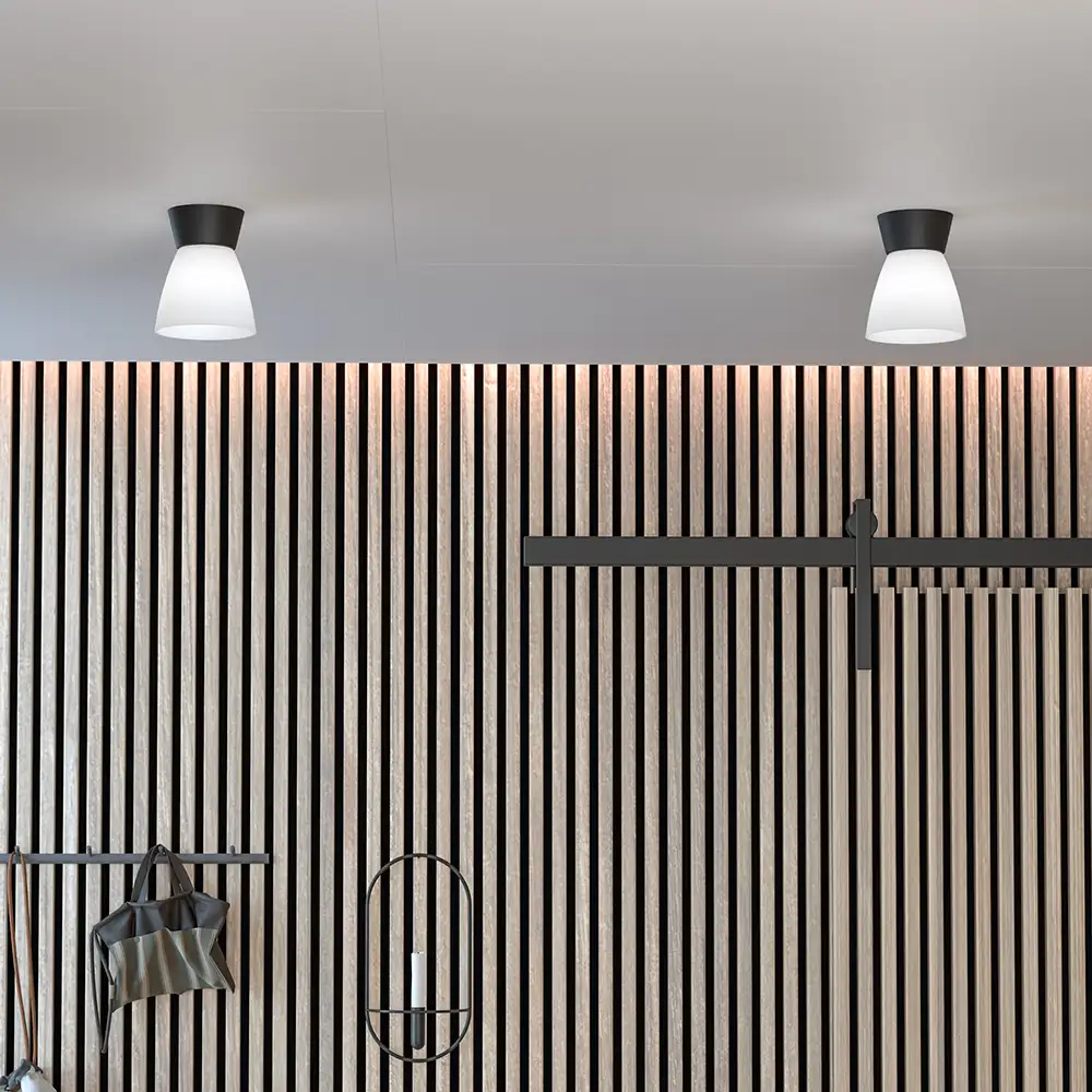 Bizzo Ceiling D165 Mattschwarz/Palmenglas E27 