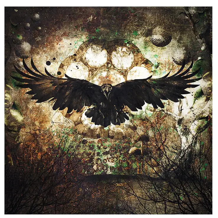 Wanddekor Rabe 120x120 cm